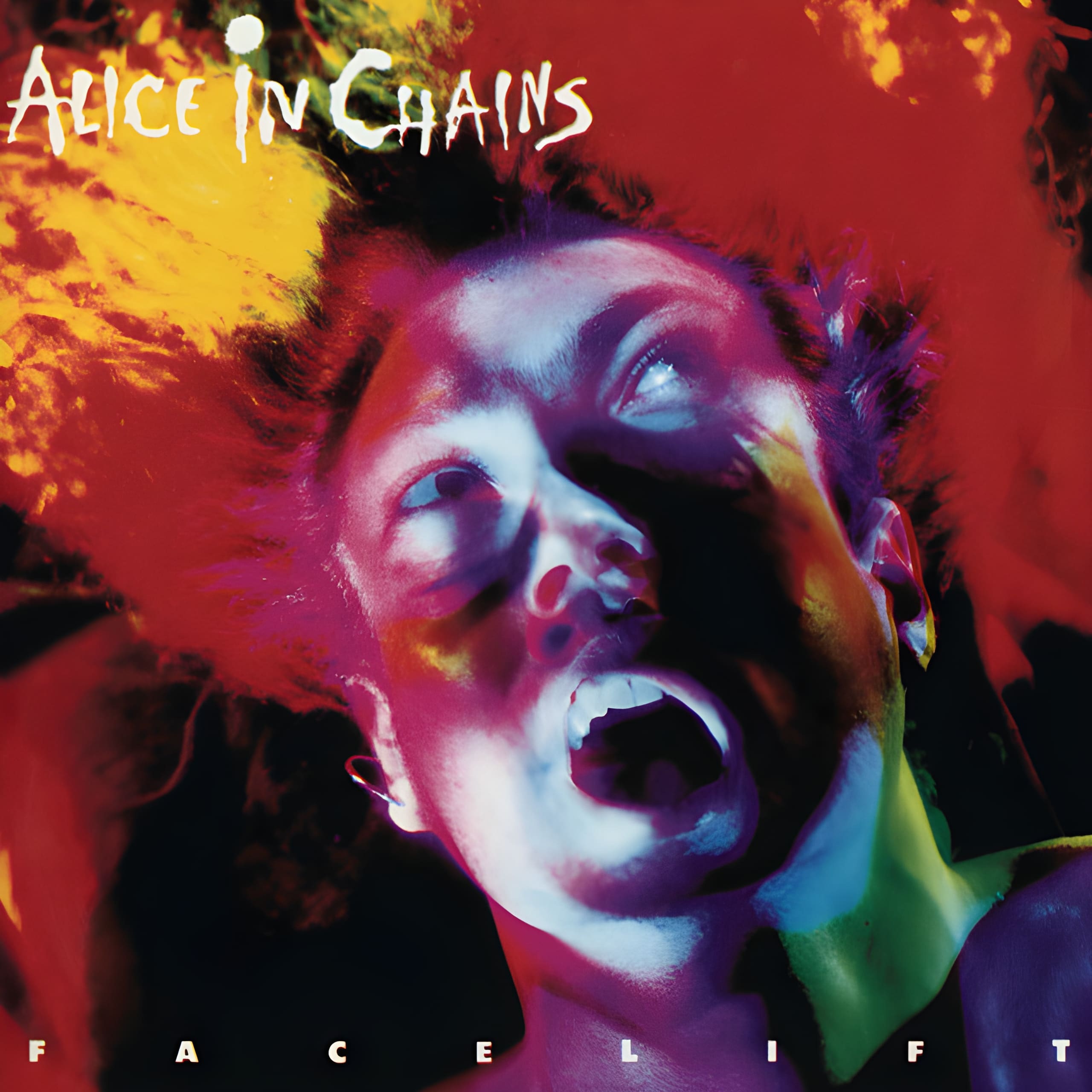 Alice in Chains